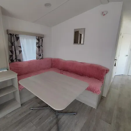 Magnolia * بروغيليتي