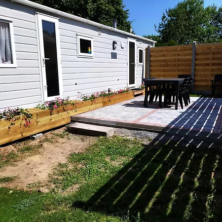 Magnolia * بروغيليتي