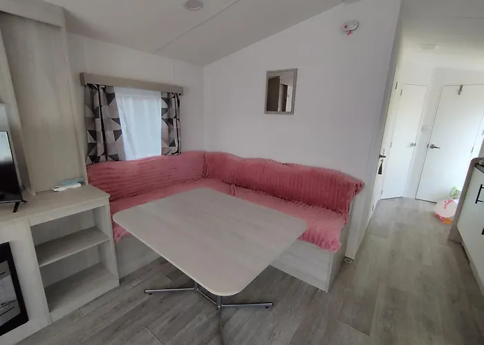 Magnolia * بروغيليتي