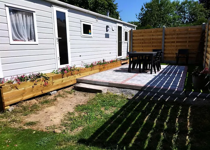 Magnolia * بروغيليتي